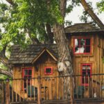 Pet-Friendly Shelter Designs