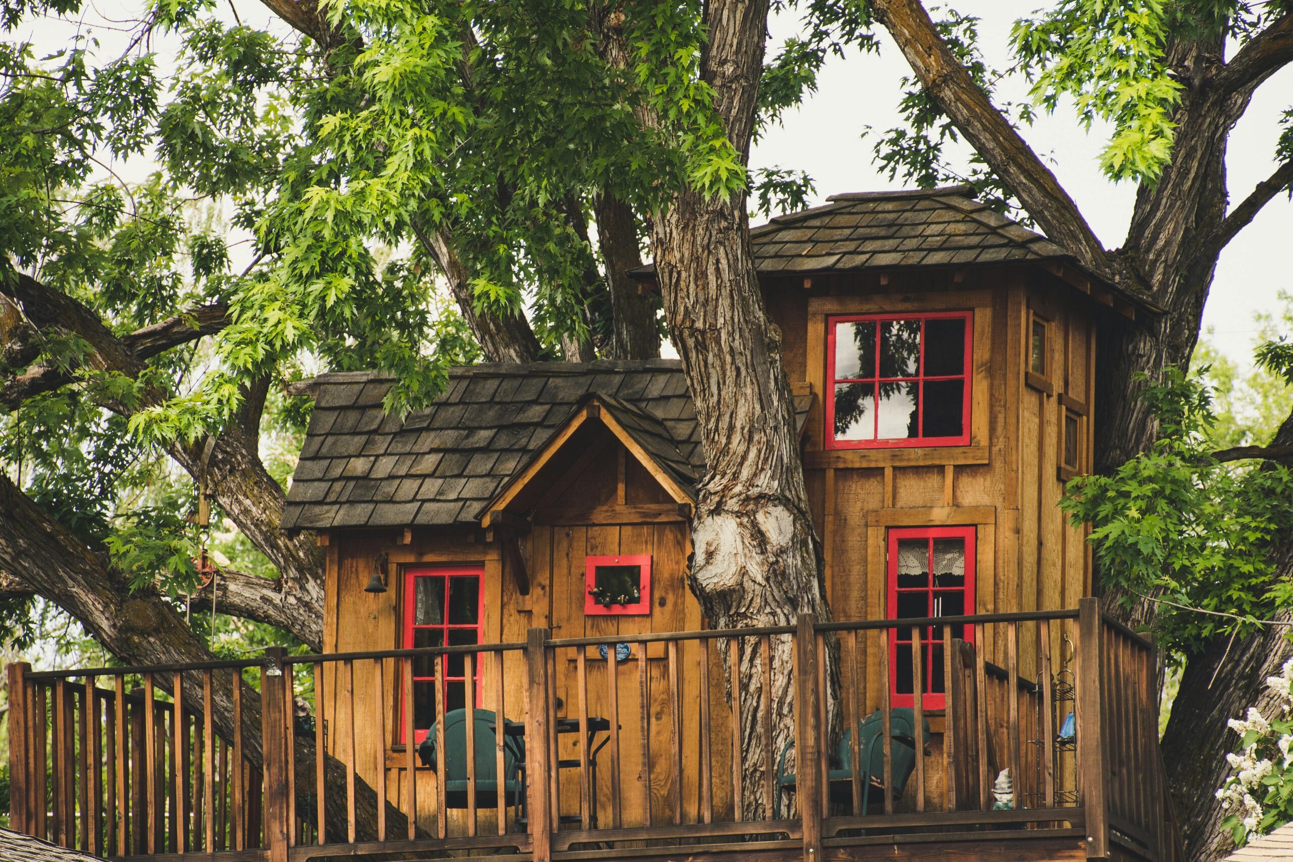 Pet-Friendly Shelter Designs