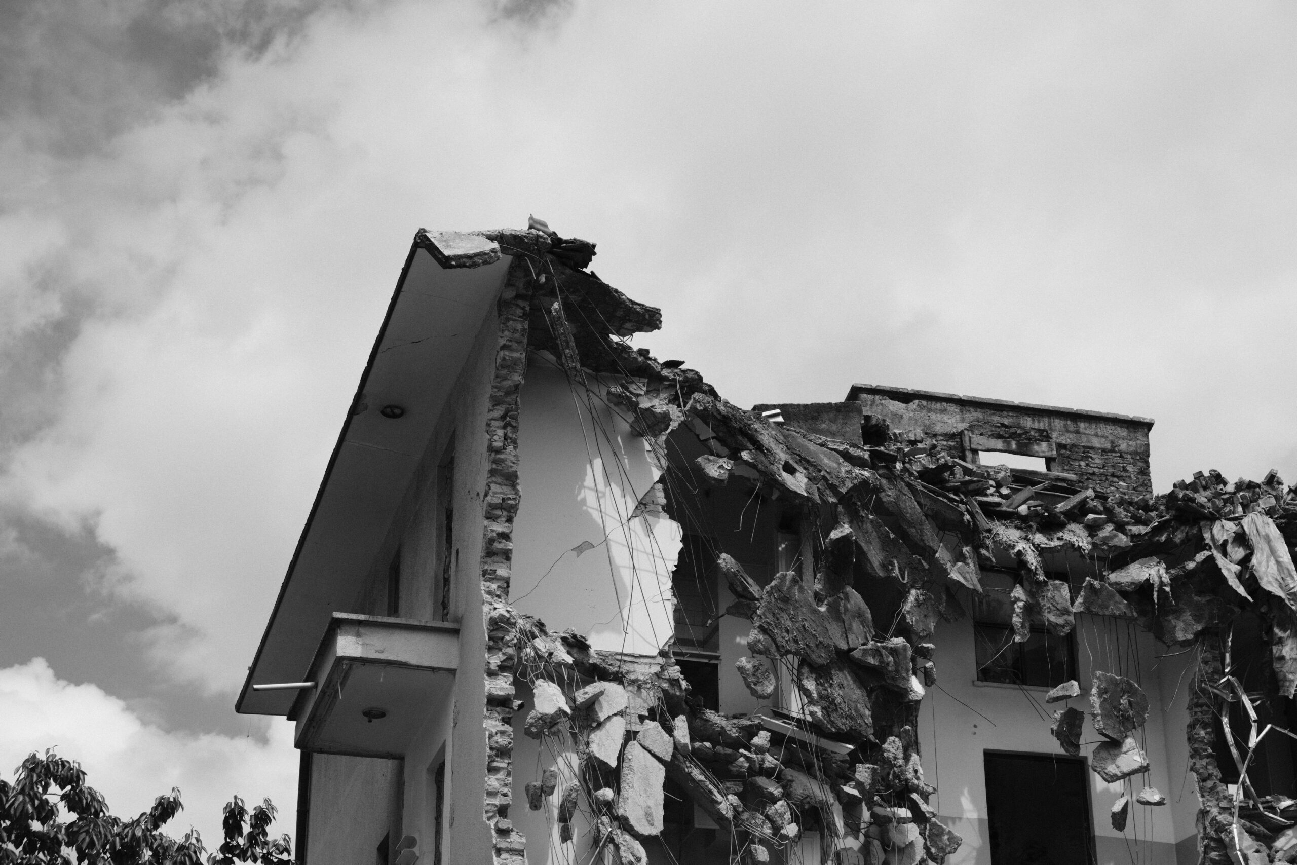 A graph showing average pet shelter fees during natural disasters