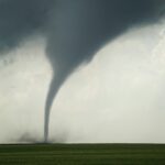 Emergency Vet Coverage Tornado: How to Protect Your Pet in Extreme Weather