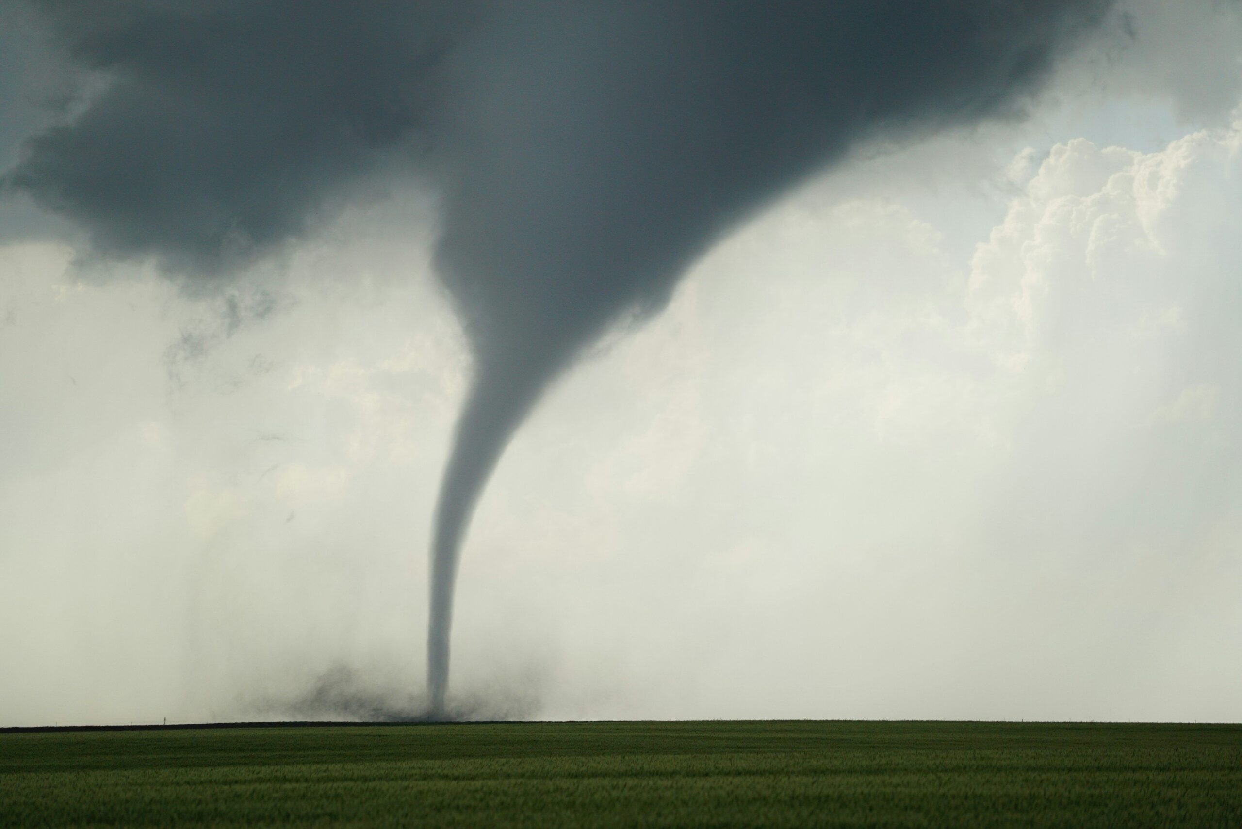 Emergency Vet Coverage Tornado: How to Protect Your Pet in Extreme Weather
