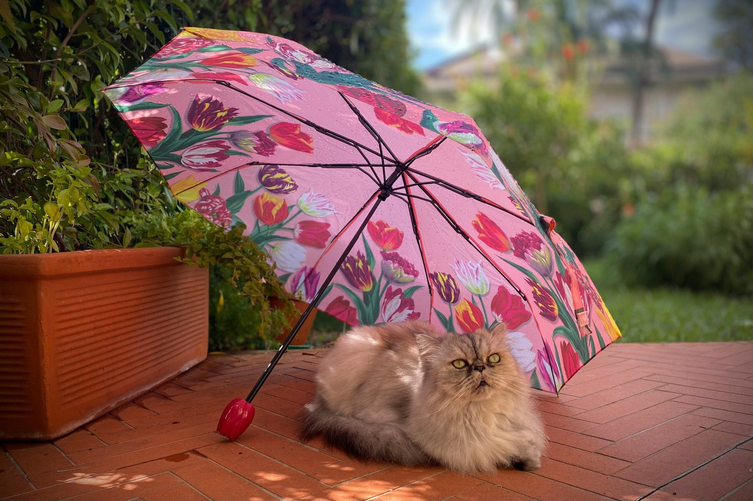 Finding the Best Emergency Vet for Pets During a Tornado: What Every Pet Parent Needs to Know