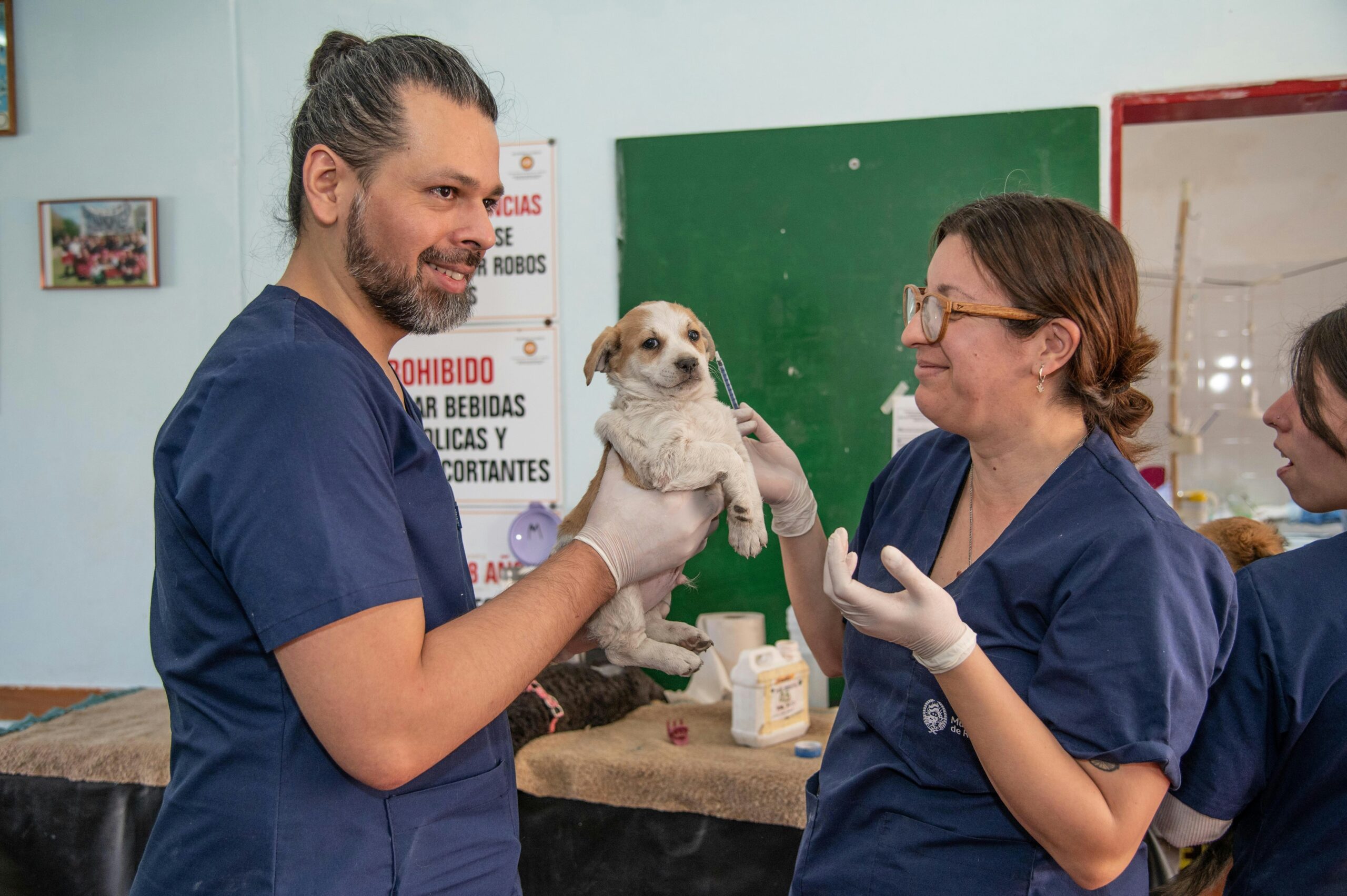 How to File a Pet Injury Claim: A Step-by-Step Guide