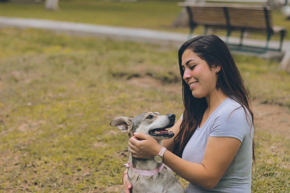 Rescued dog sitting happily next to owner