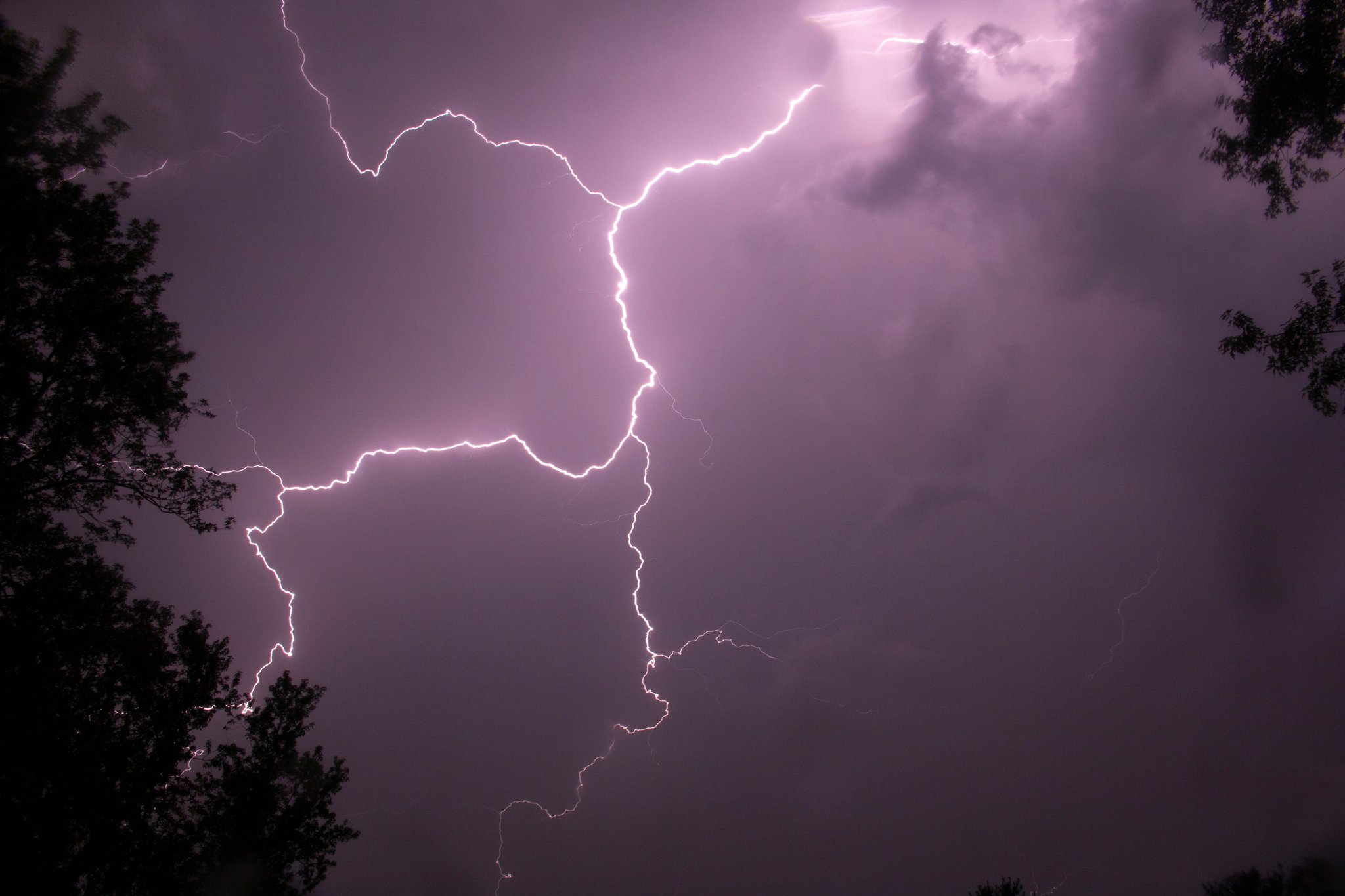 Emergency Vet Tornado Safety: How to Protect Your Pet in the Worst Weather