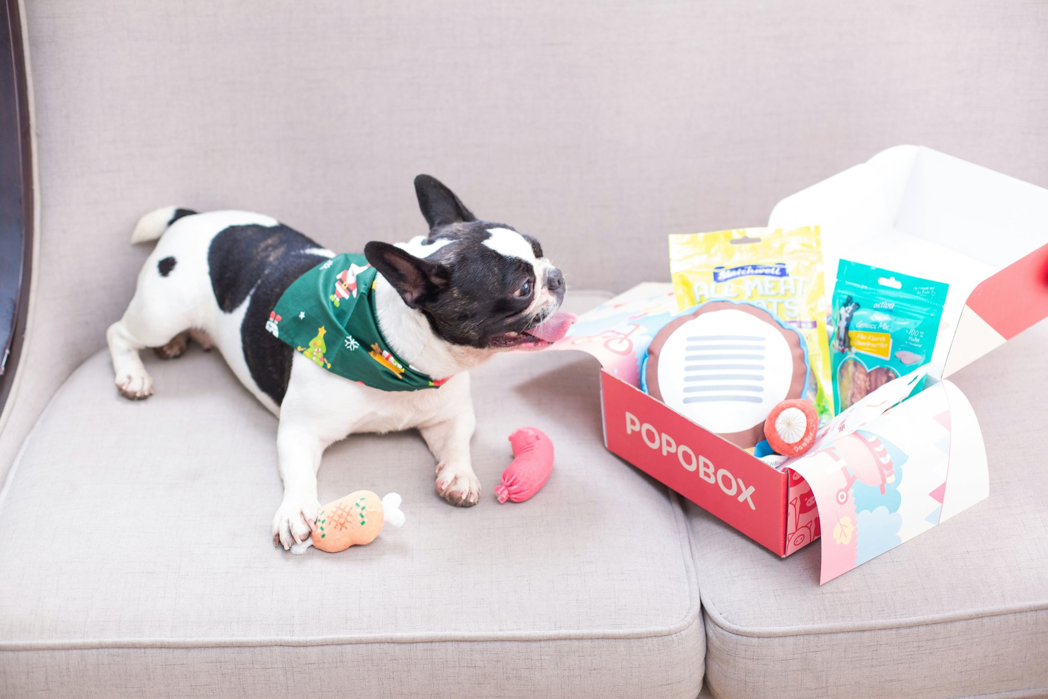Happy golden retriever sitting safely indoors