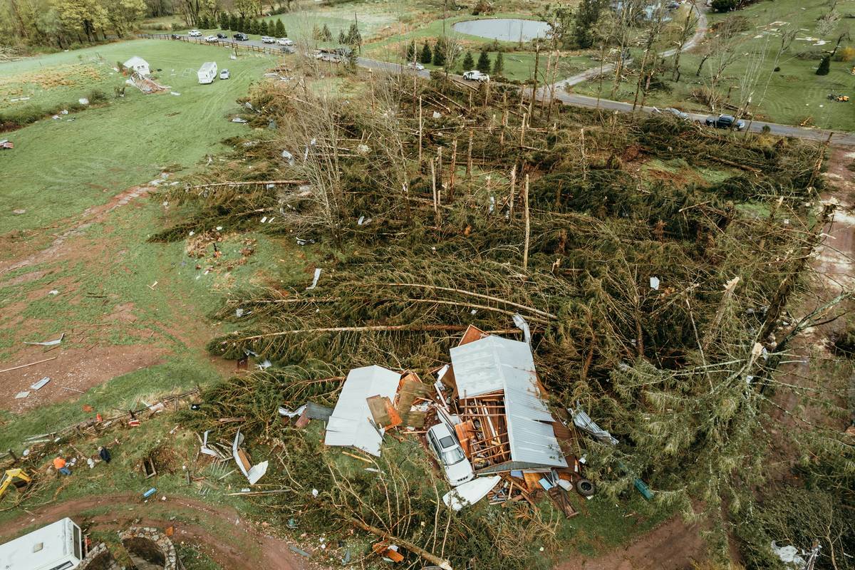 A pet emergency kit including food, leash, and medications