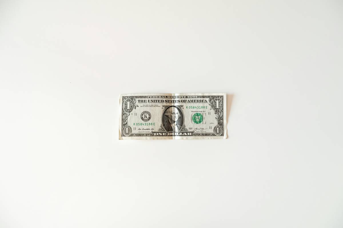 Illustration showing rising costs of pet shelters during natural disasters