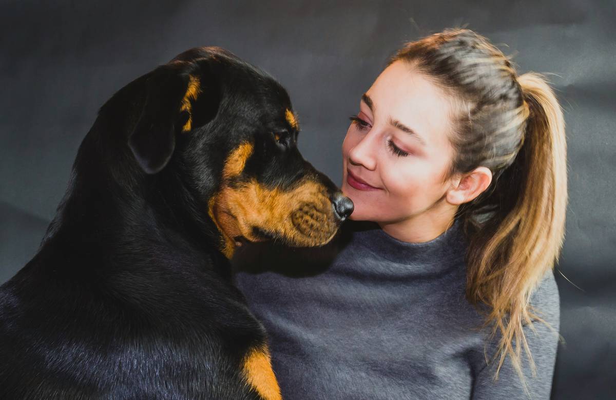 Pet Injury Claim Tips: How to Navigate Tornado Insurance for Your Furry Friends