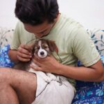 Emergency Vet Tornado Claims: What Every Pet Owner Needs to Know