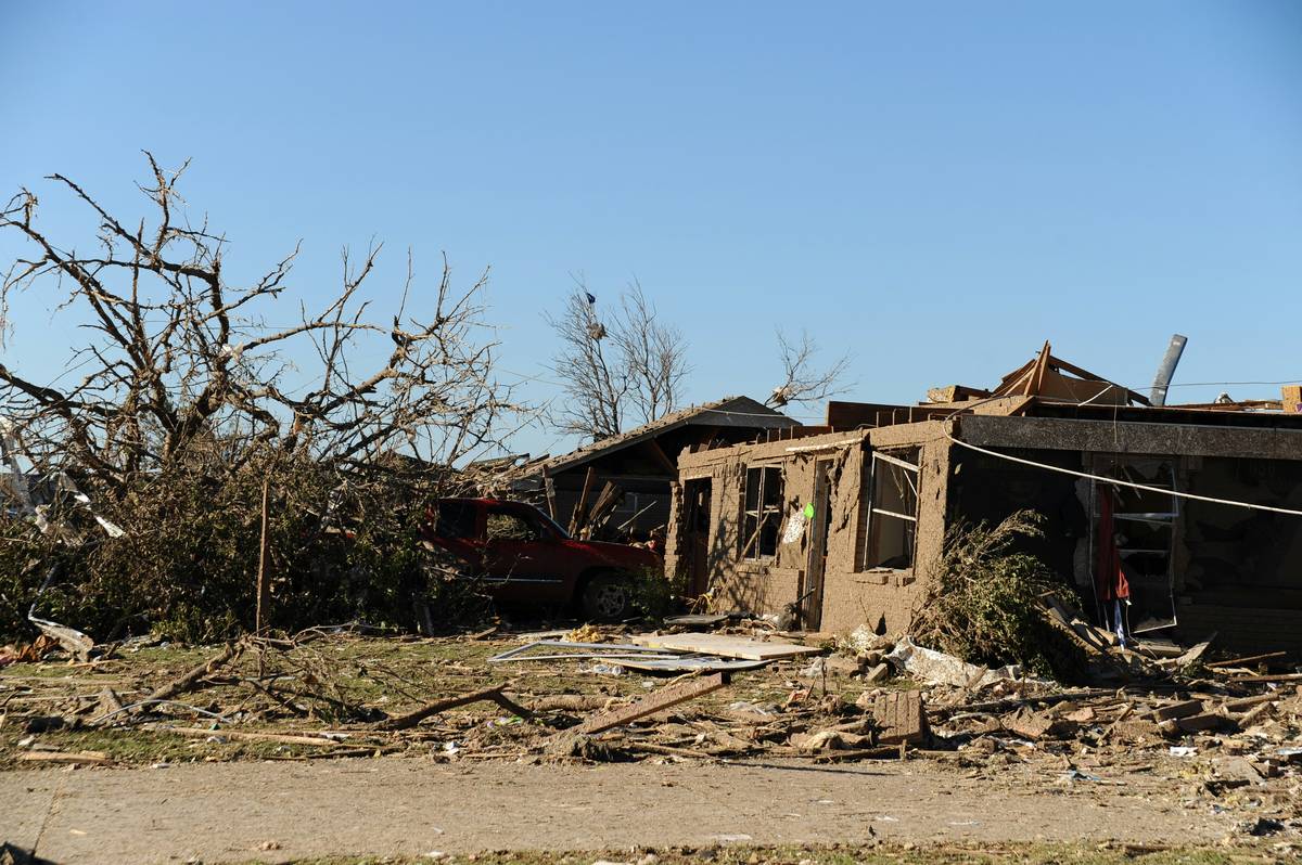 Illustration showing a dog sheltering from a storm