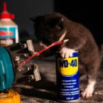 Pet Shelter Cost Updates Tornado: Protecting Your Pet in Extreme Weather