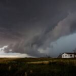 Emergency Vet Tornado Waiting Period: What Every Pet Owner Needs to Know