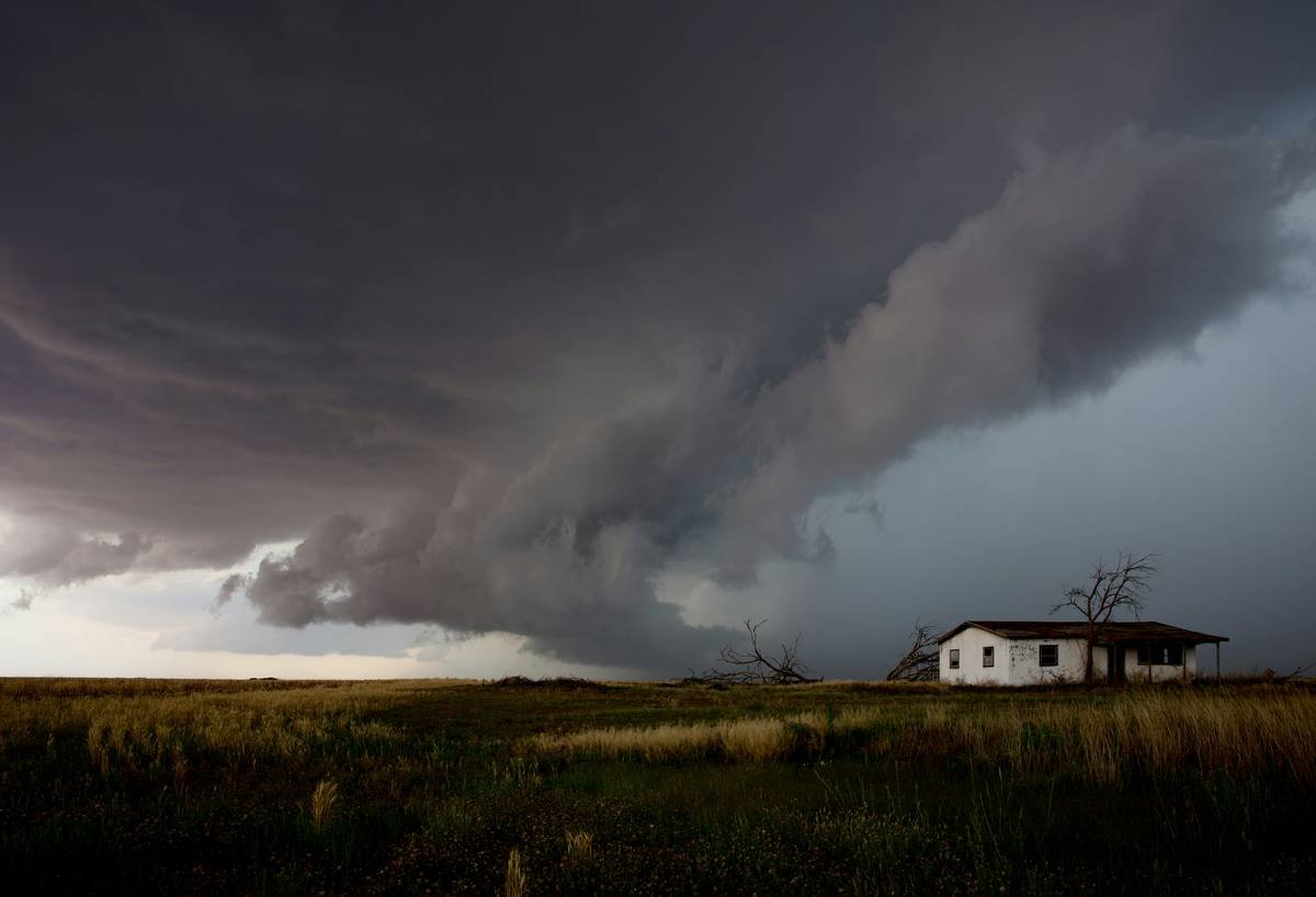 Emergency Vet Tornado Waiting Period: What Every Pet Owner Needs to Know