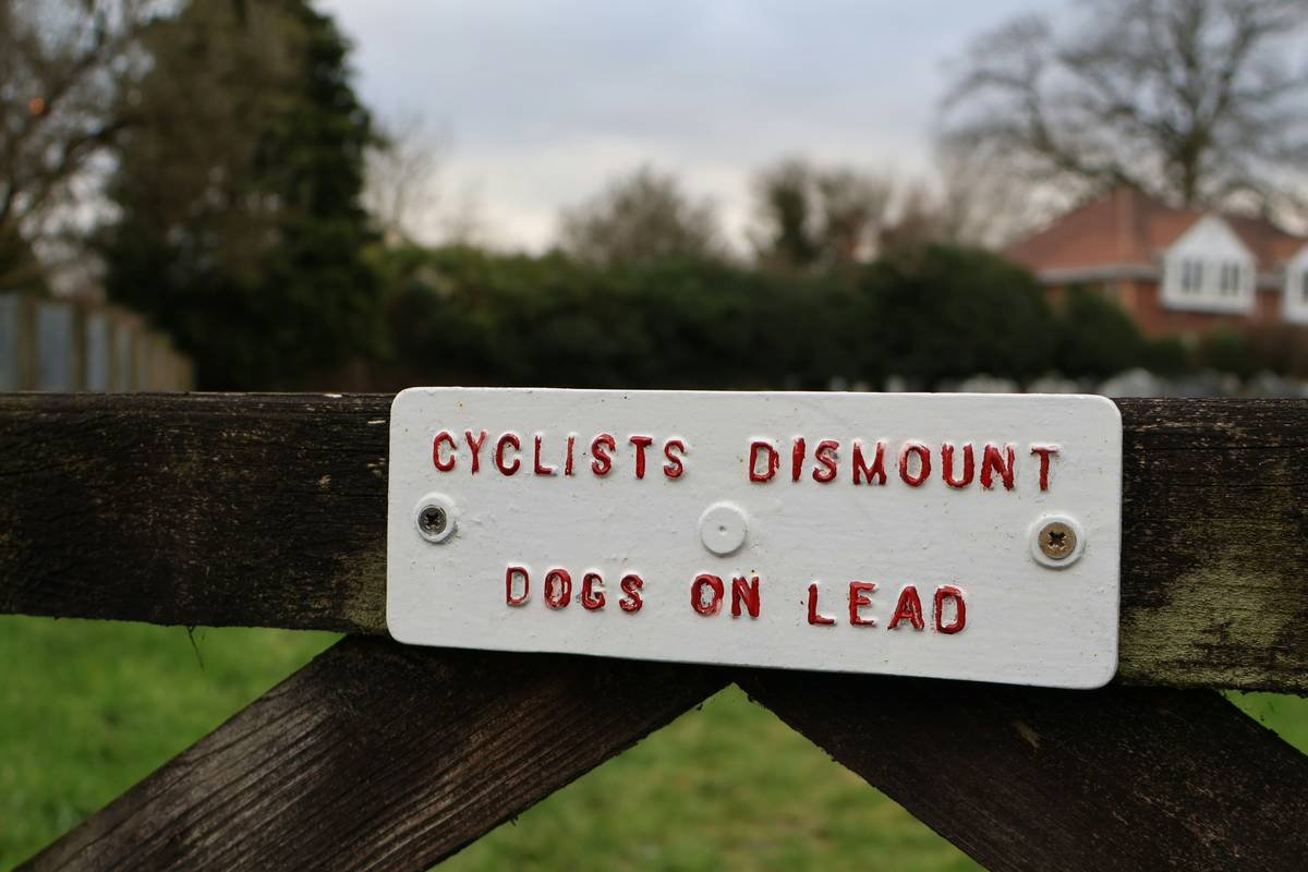 Infographic showing the average costs of pet care during a tornado, including vet bills, temporary boarding, and supplies.