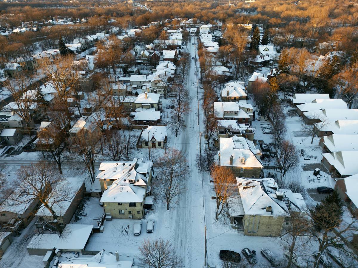 Bar chart showing average pet shelter intake fees during tornado events in U.S. states 2022-2024: OK $98, TX $112, AL $87, TN $105, MS $76