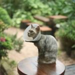 What Every Pet Owner Must Know About Emergency Vet Tornado Terms