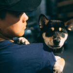 What Every Pet Owner Must Know About Emergency Vet Tornado Exclusions