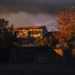 What Pet Owners Get Wrong About Pet Injury Claim Restrictions (Especially During Tornado Season)