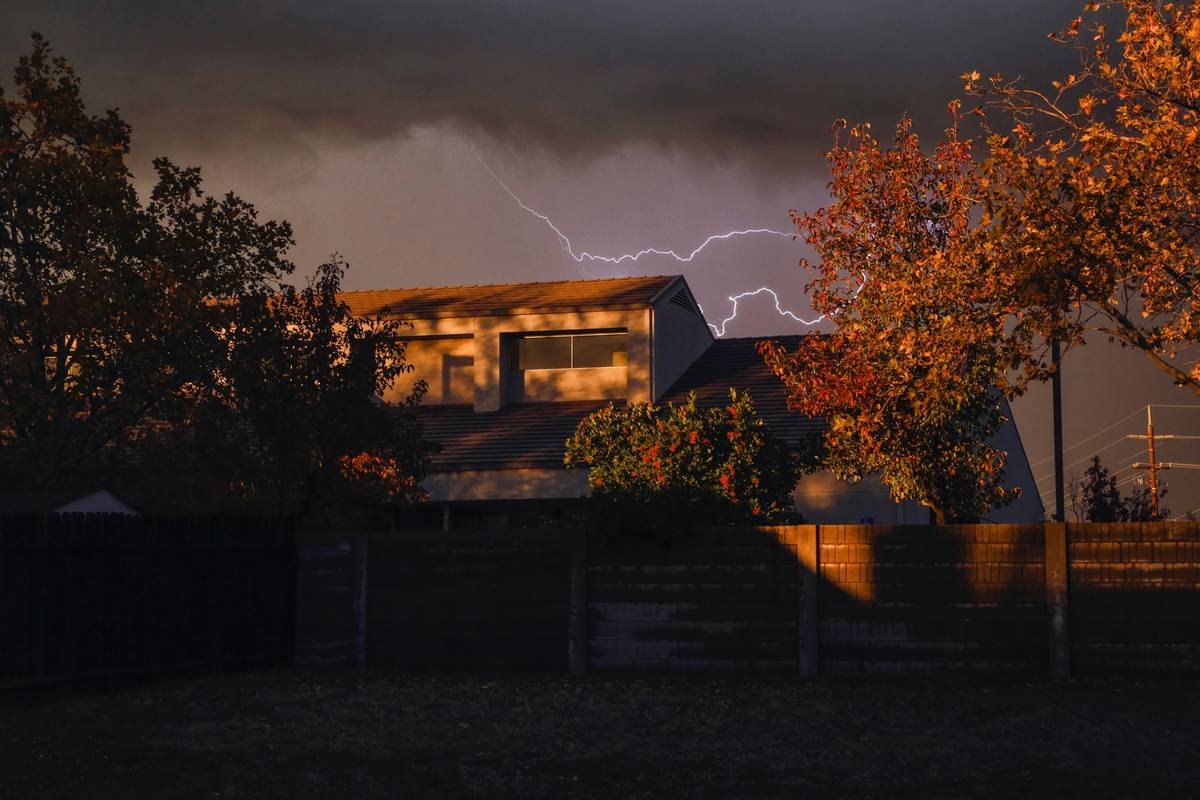 What Pet Owners Get Wrong About Pet Injury Claim Restrictions (Especially During Tornado Season)